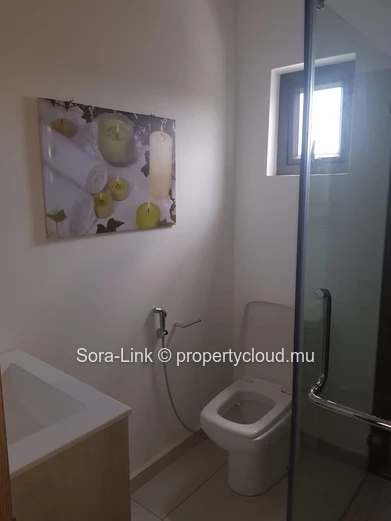 Duplex for sale in Flic en Flac