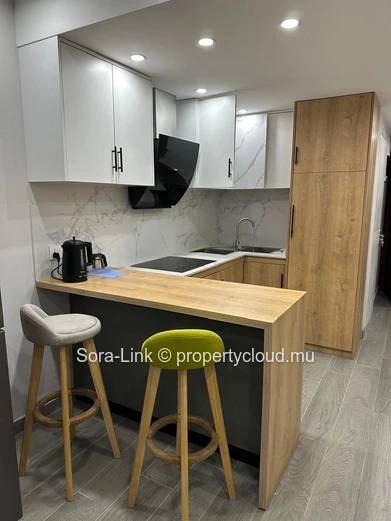 Recently built apartment near the beach